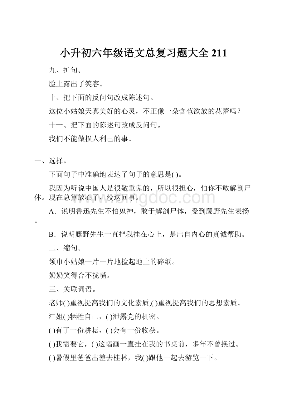 小升初六年级语文总复习题大全211.docx_第1页