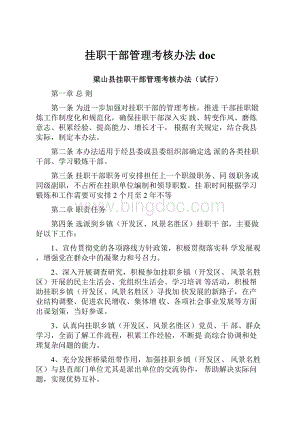 挂职干部管理考核办法doc.docx