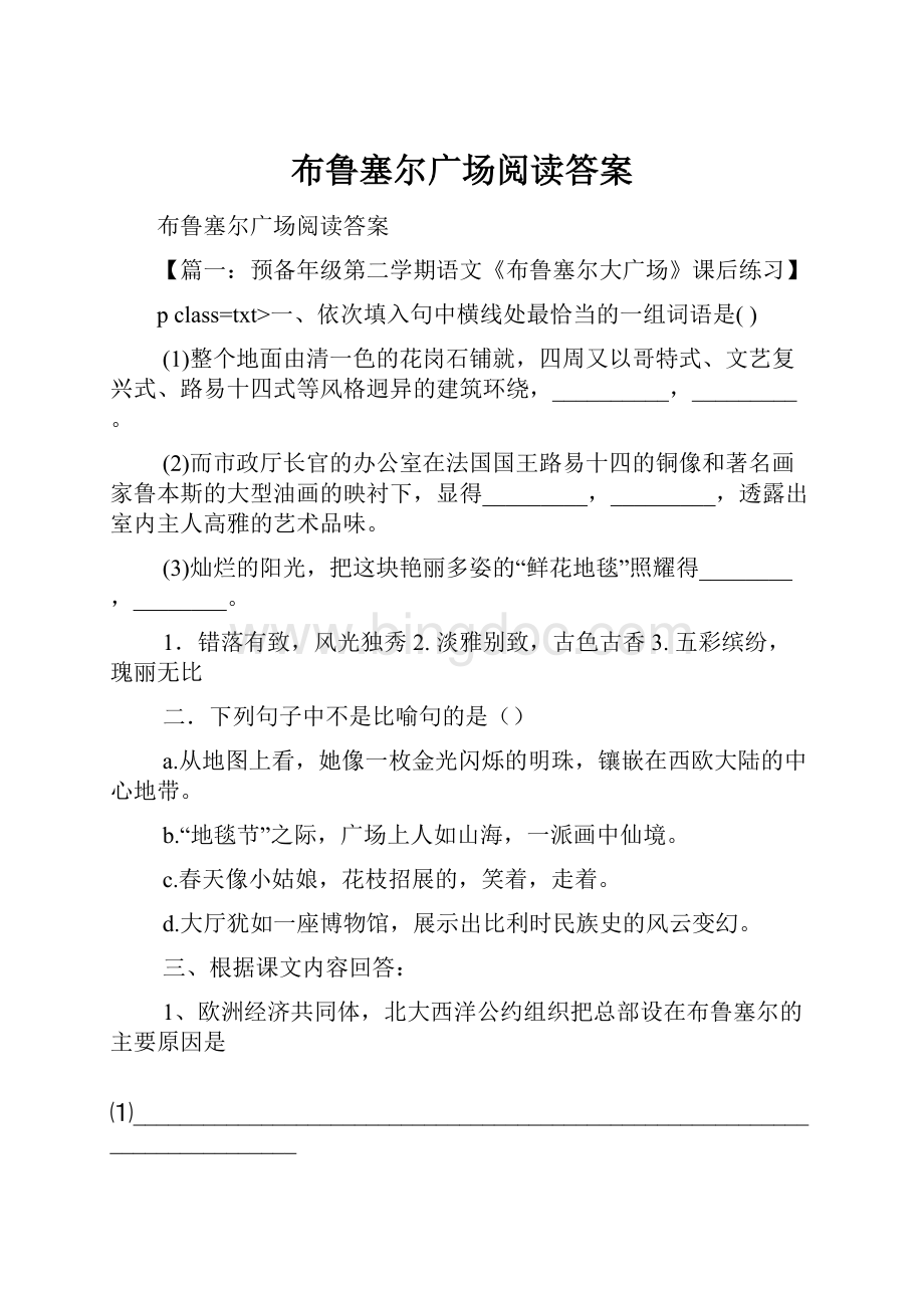 布鲁塞尔广场阅读答案.docx