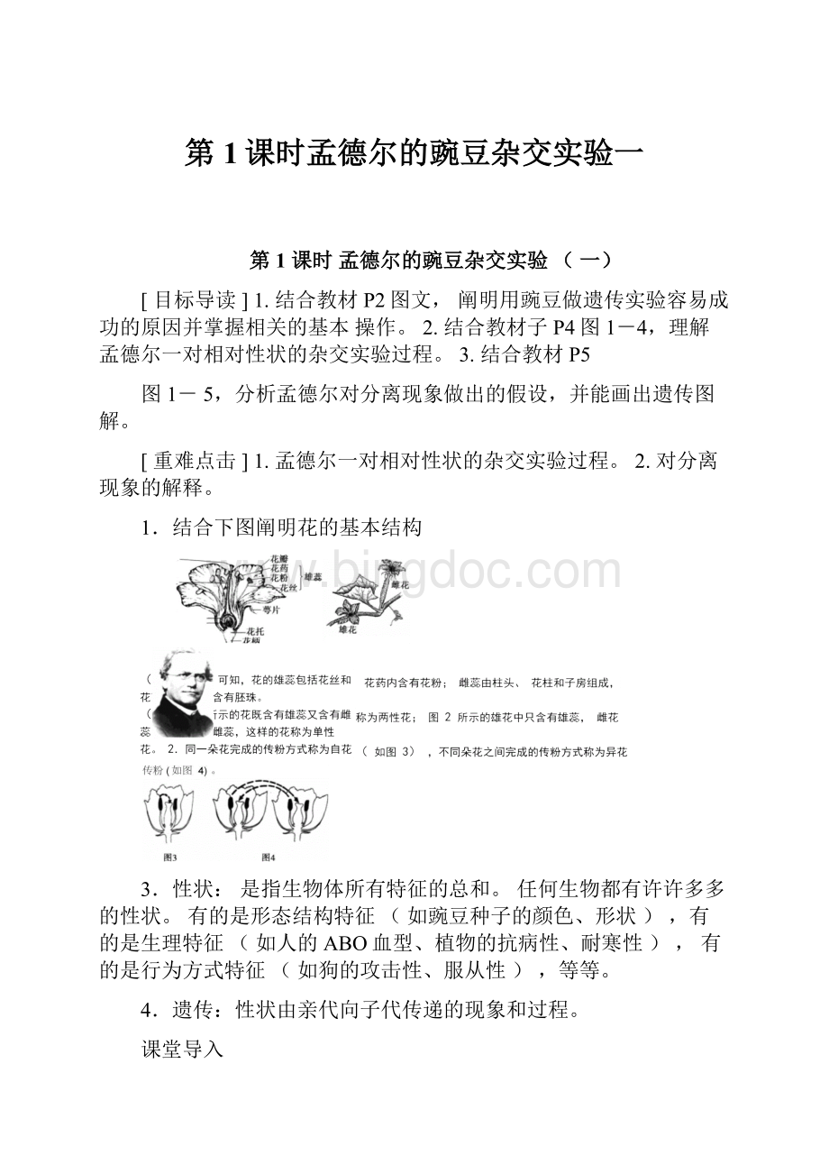 第1课时孟德尔的豌豆杂交实验一.docx