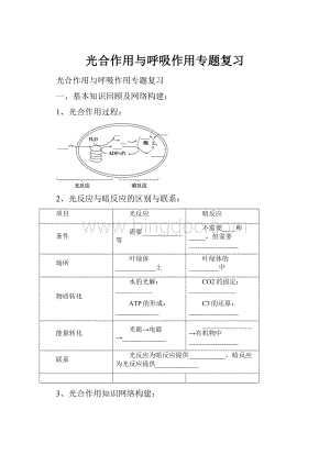 光合作用与呼吸作用专题复习.docx