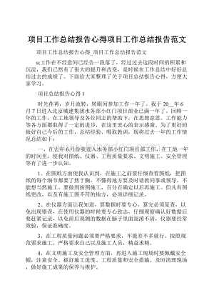 项目工作总结报告心得项目工作总结报告范文.docx