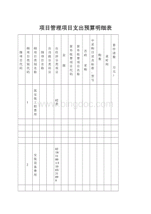 项目管理项目支出预算明细表.docx