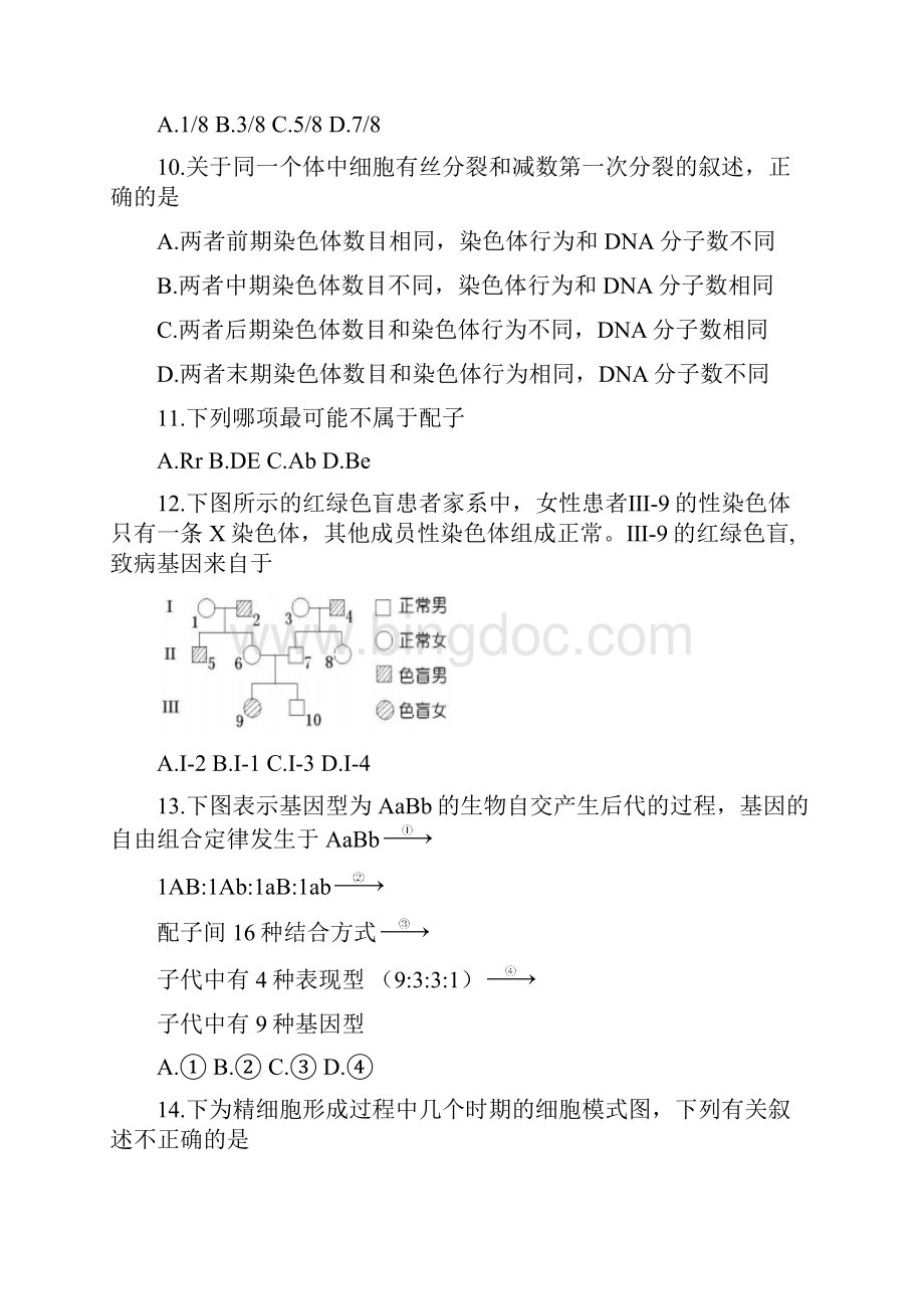 河南省郑州一中学年高二上期生物必修2 第一二章国庆假期作业二 Word版含答案.docx_第3页