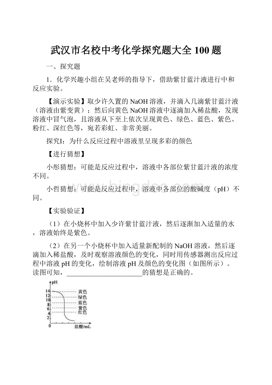 武汉市名校中考化学探究题大全100题.docx_第1页