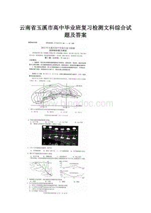 云南省玉溪市高中毕业班复习检测文科综合试题及答案.docx