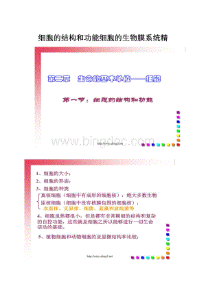 细胞的结构和功能细胞的生物膜系统精.docx