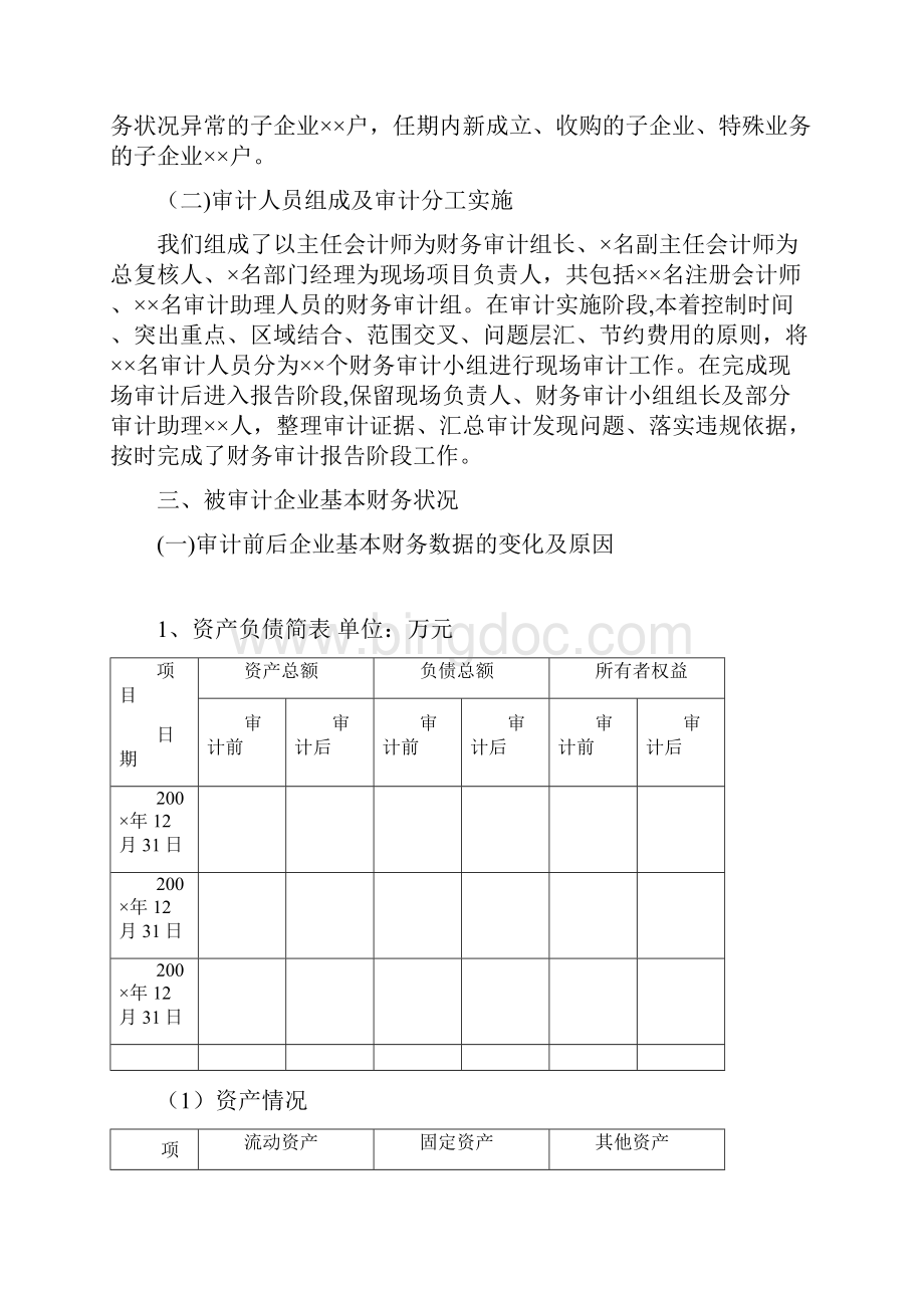 财务审计报告的模板.docx_第3页