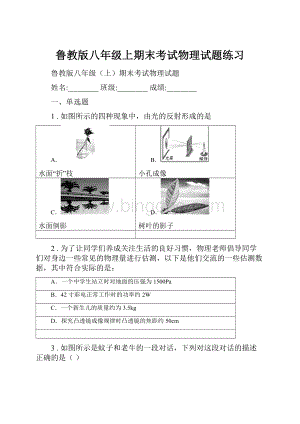 鲁教版八年级上期末考试物理试题练习.docx