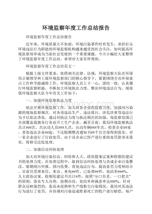 环境监察年度工作总结报告.docx