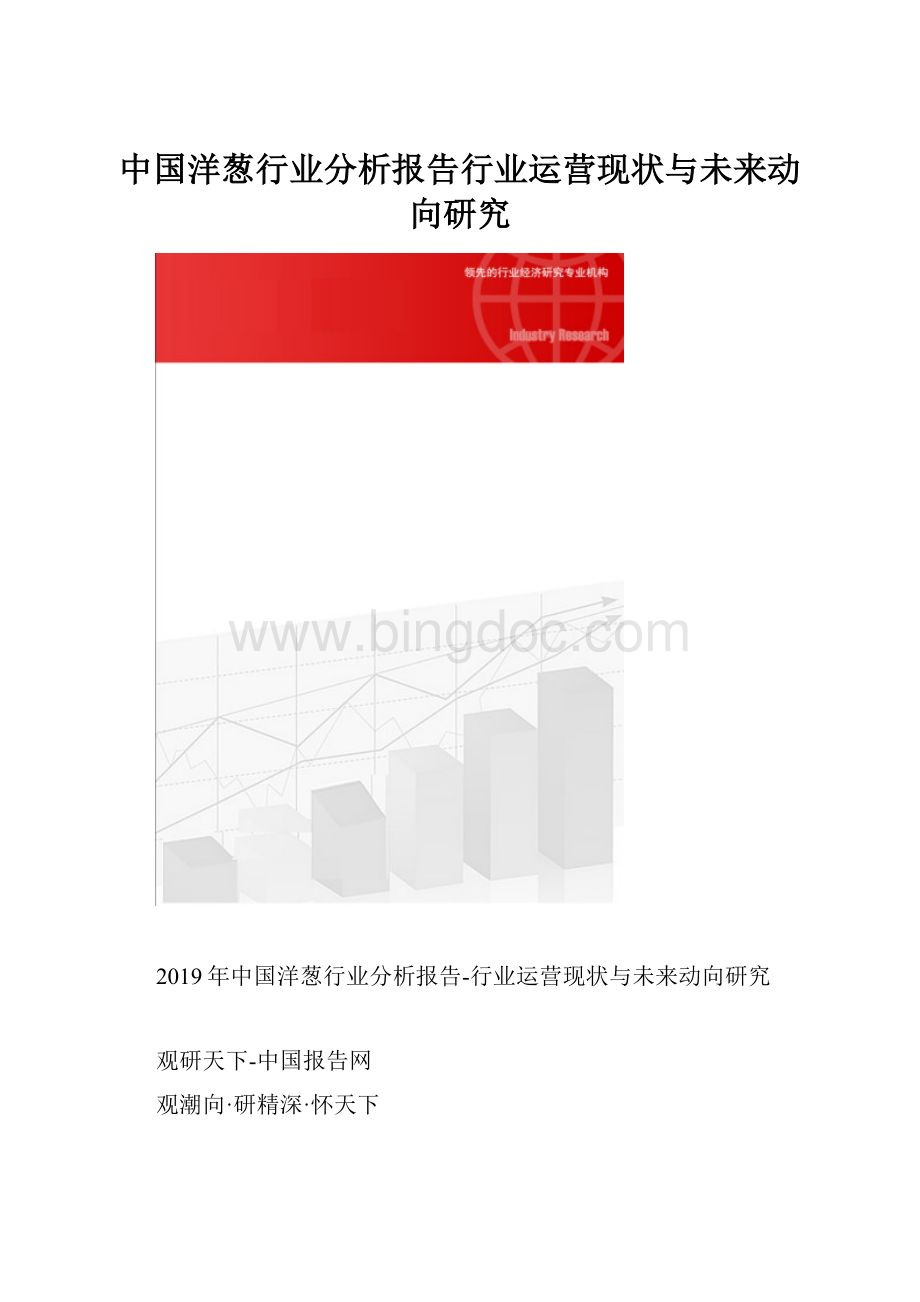 中国洋葱行业分析报告行业运营现状与未来动向研究.docx_第1页