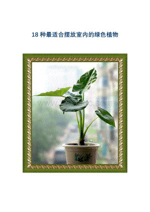 18种最适合摆放室内的绿色植物.doc