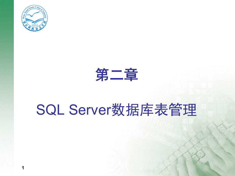 TP2 SQL Server数据库表管理.pptx