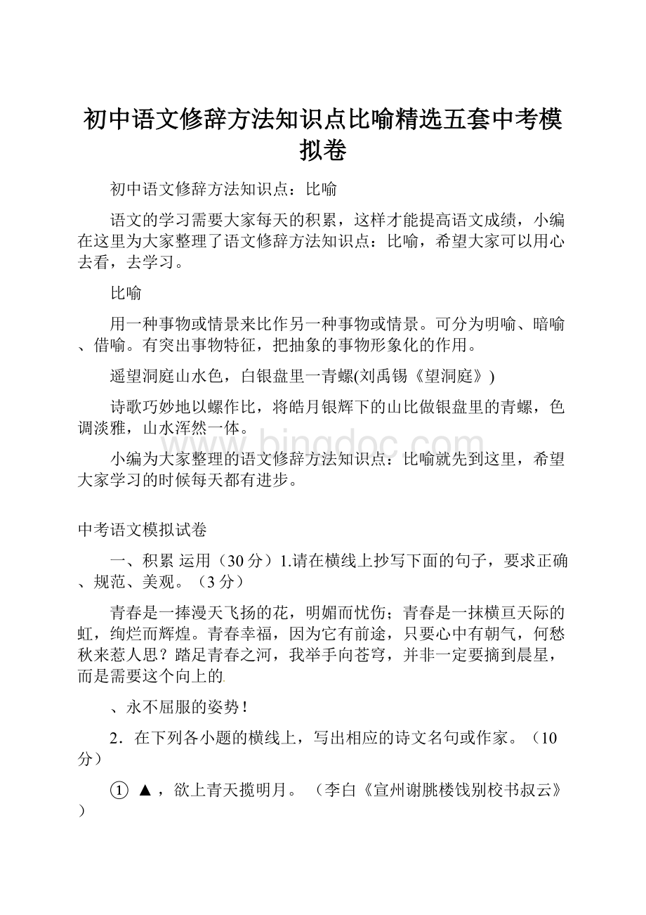初中语文修辞方法知识点比喻精选五套中考模拟卷.docx_第1页