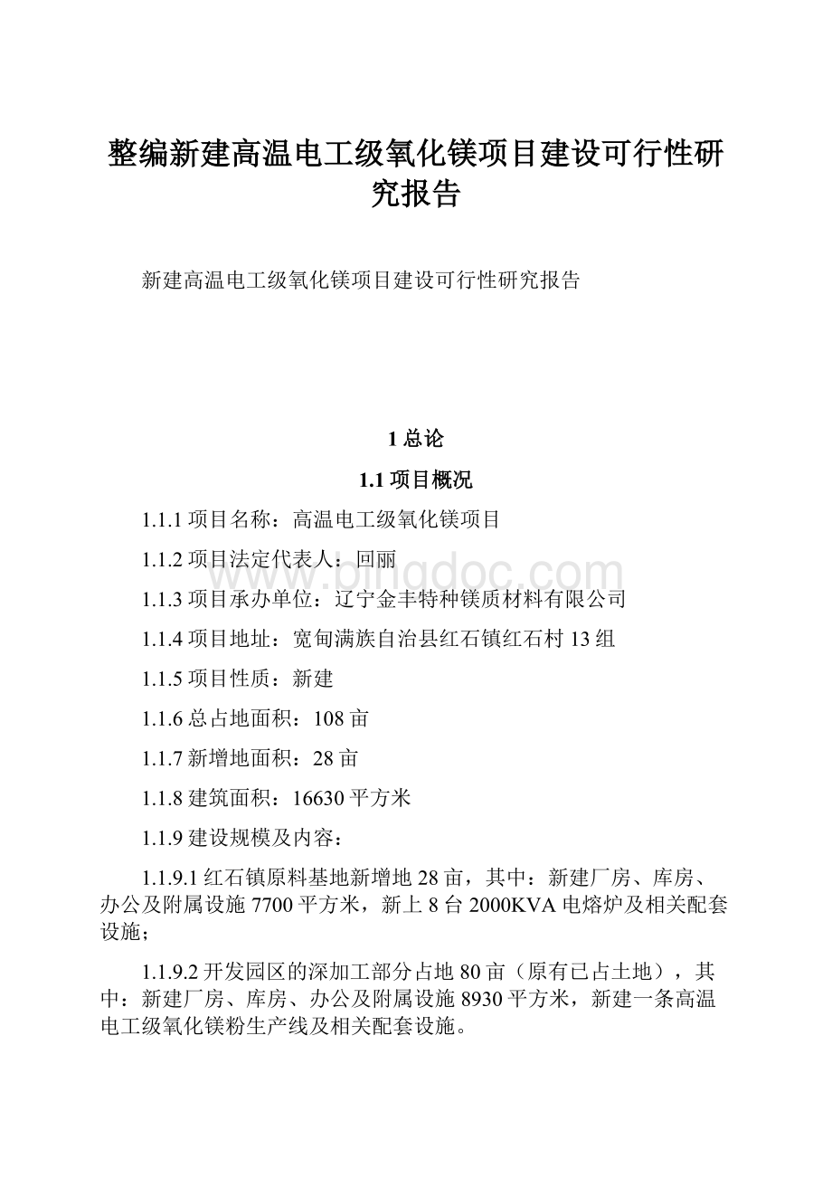 整编新建高温电工级氧化镁项目建设可行性研究报告.docx_第1页