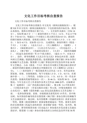 文化工作目标考核自查报告.docx