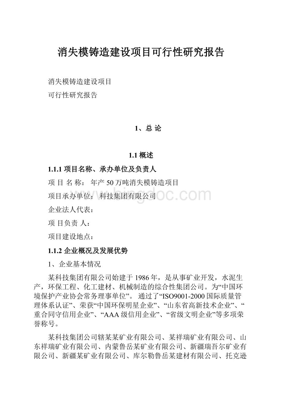 消失模铸造建设项目可行性研究报告.docx_第1页