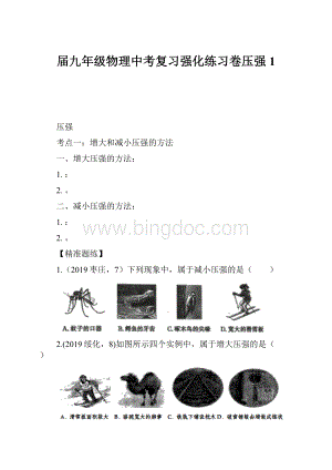 届九年级物理中考复习强化练习卷压强1.docx