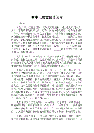 初中记叙文阅读阅读.docx