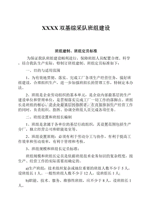 XXXX双基综采队班组建设.docx