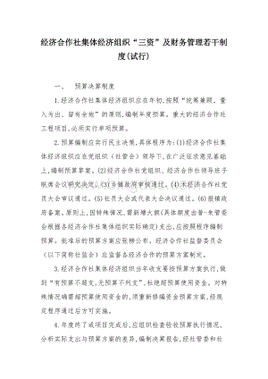 经济合作社集体经济组织“三资”及财务管理若干制度.docx