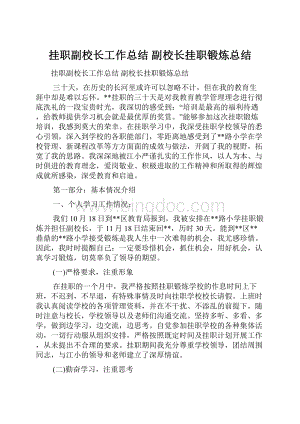 挂职副校长工作总结 副校长挂职锻炼总结.docx