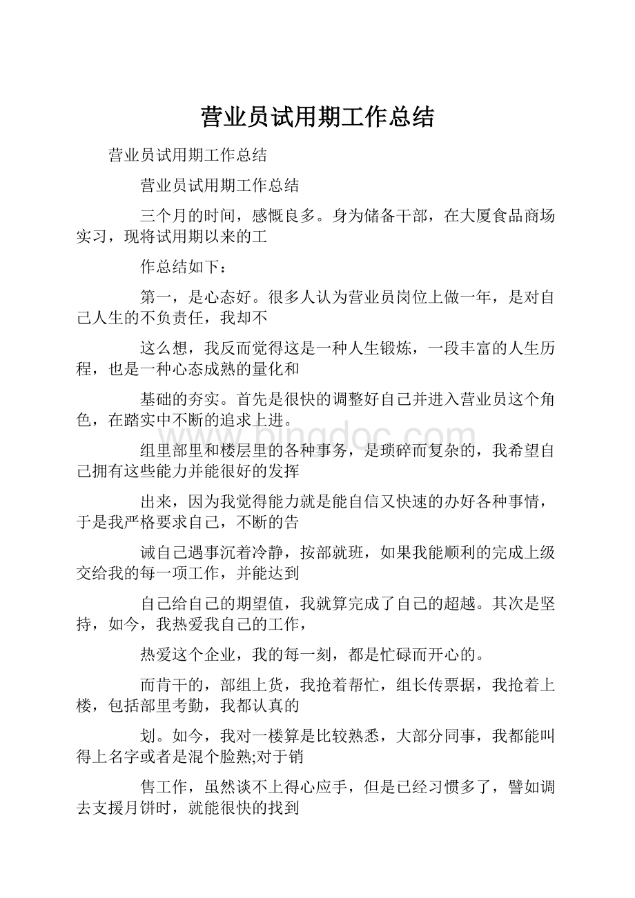 营业员试用期工作总结.docx_第1页