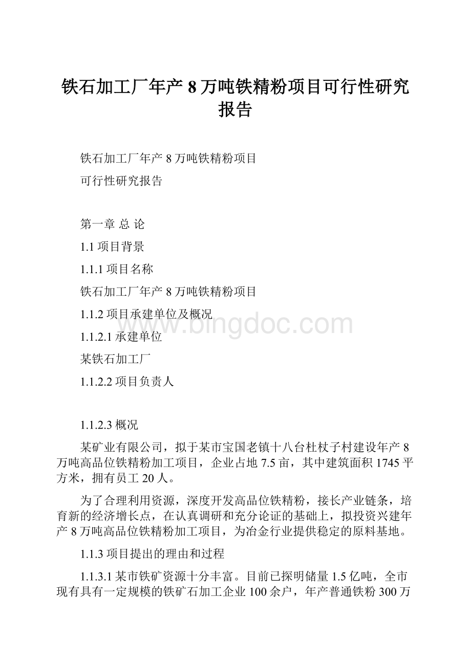 铁石加工厂年产8万吨铁精粉项目可行性研究报告.docx