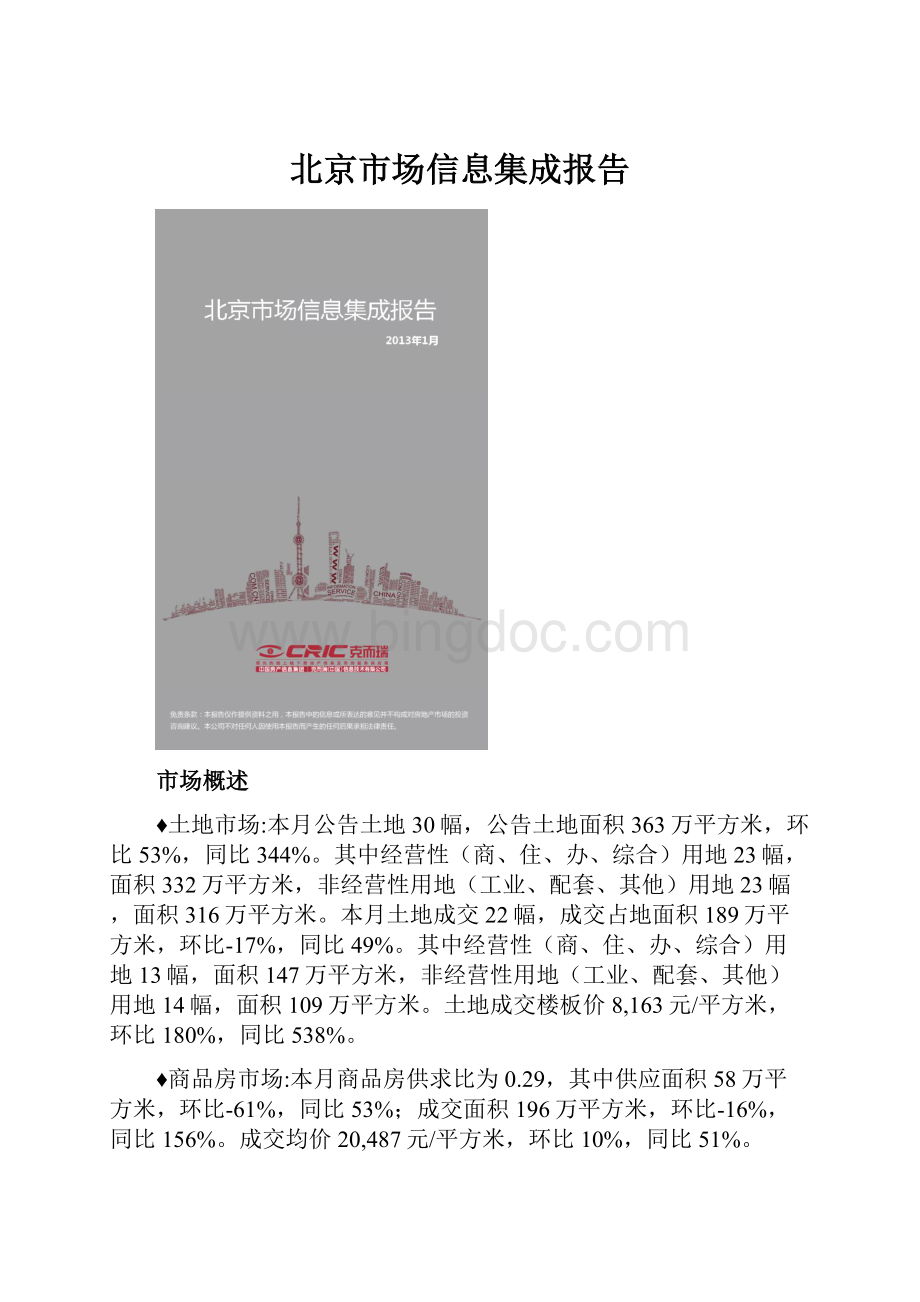 北京市场信息集成报告.docx_第1页