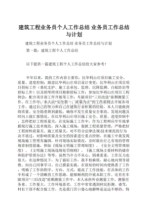 建筑工程业务员个人工作总结 业务员工作总结与计划.docx