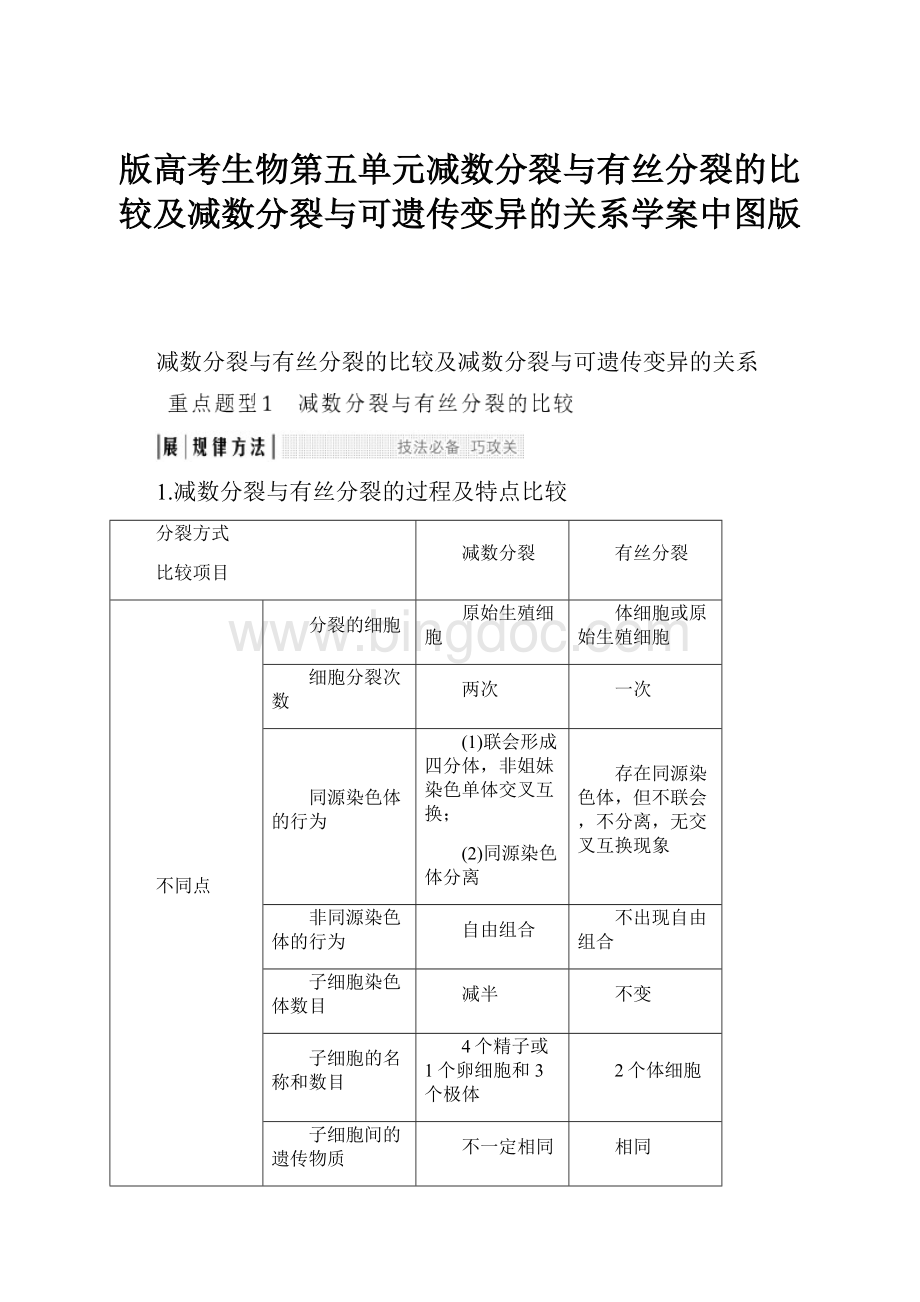 版高考生物第五单元减数分裂与有丝分裂的比较及减数分裂与可遗传变异的关系学案中图版.docx_第1页