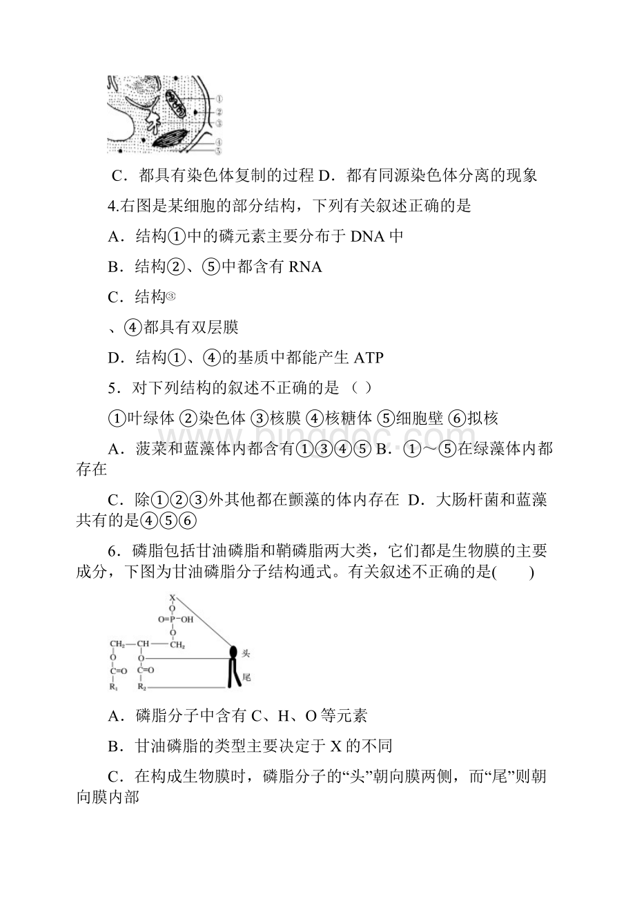 安徽省无为县届高三生物上学期第一次月考试题 2.docx_第2页