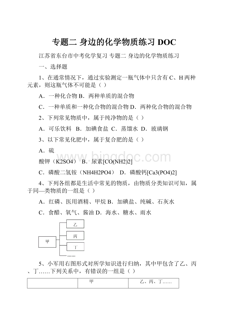 专题二 身边的化学物质练习DOC.docx