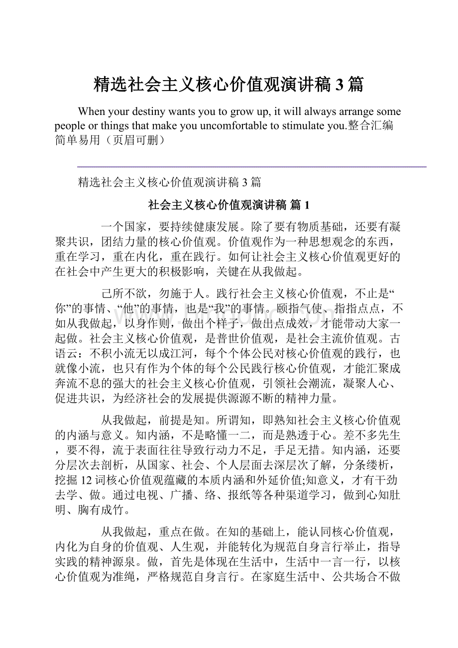 精选社会主义核心价值观演讲稿3篇.docx