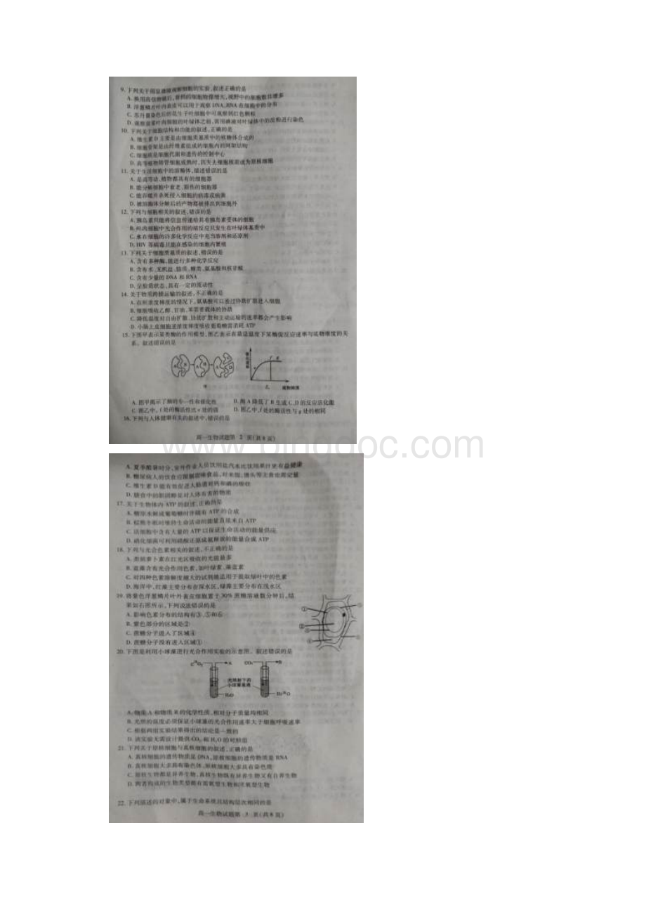 湖北省黄冈市学年高一生物上学期期末考试试题扫描版含答案 师生通用.docx_第2页