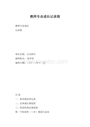 教师专业成长记录袋.docx