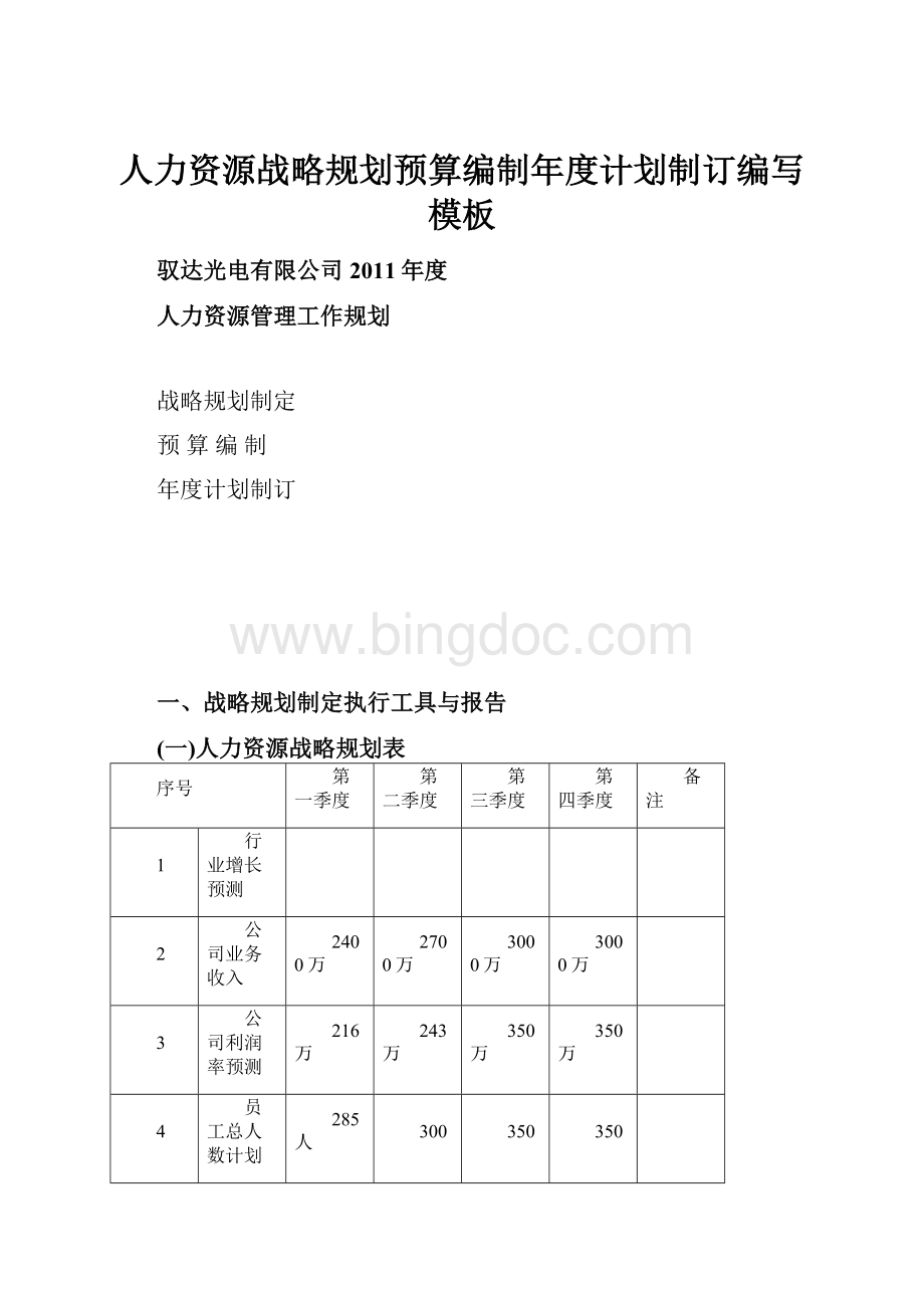 人力资源战略规划预算编制年度计划制订编写模板.docx