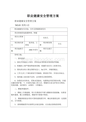 职业健康安全管理方案.docx