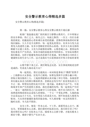 安全警示教育心得精选多篇.docx