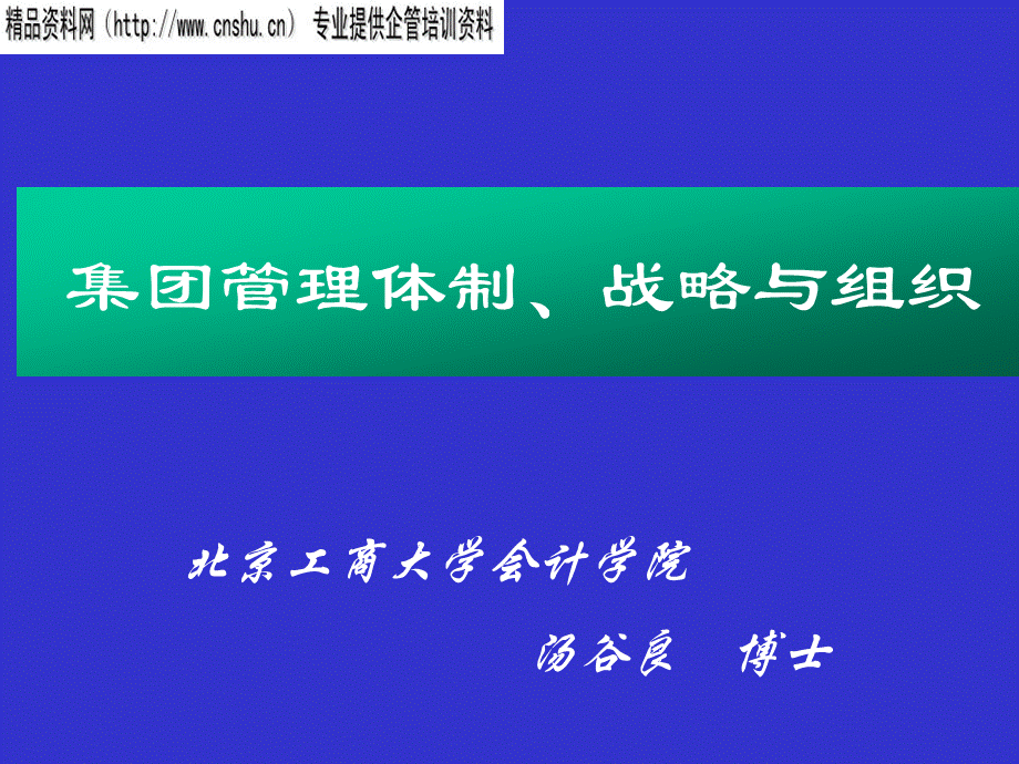 集团管理体制、战略与组织财务分析.pptx_第1页