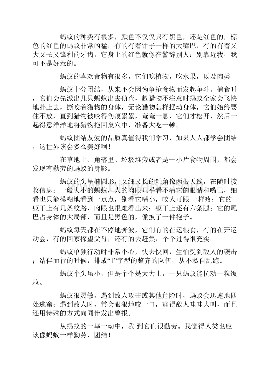 关于蚂蚁的作文15篇.docx_第2页