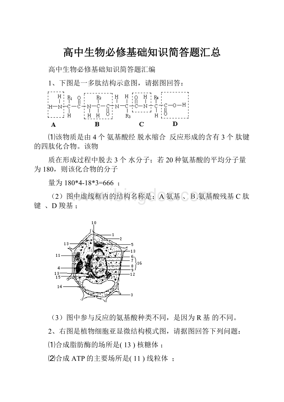 高中生物必修基础知识简答题汇总.docx