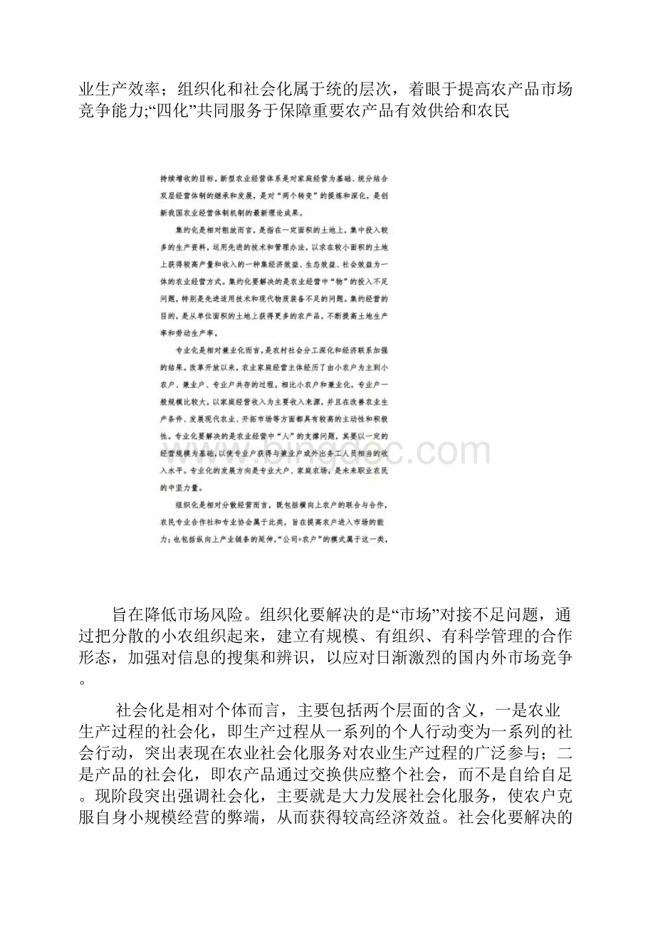 赵海新型农业经营体系的涵义及其构建.docx_第3页