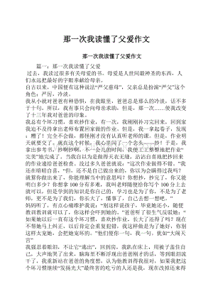 那一次我读懂了父爱作文.docx