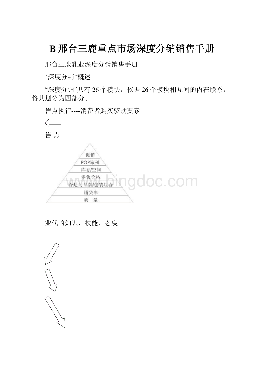 B邢台三鹿重点市场深度分销销售手册.docx