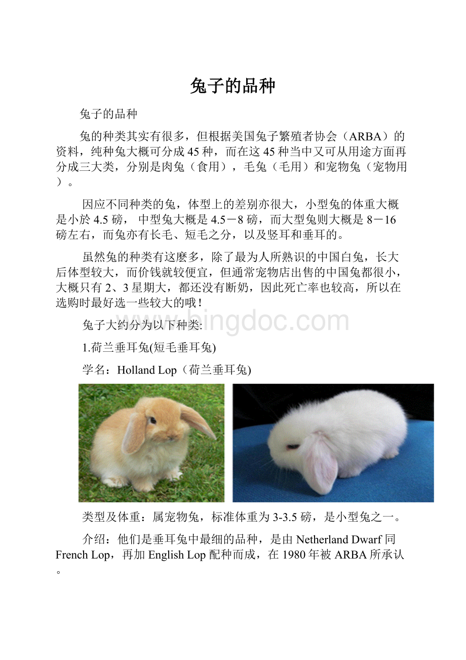 兔子的品种.docx_第1页
