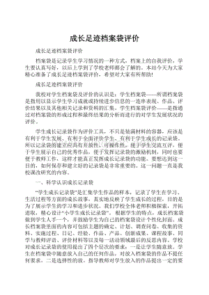 成长足迹档案袋评价.docx