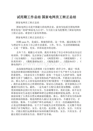 试用期工作总结 国家电网员工转正总结.docx