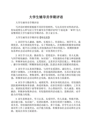 大学生辅导员学期评语.docx