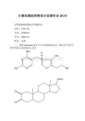 计算机辅助药物设计结课作业DUO.docx